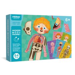 Magnetic board My body - 84 pieces